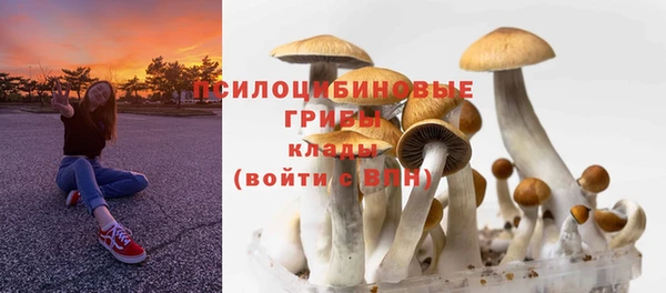 марки nbome Абаза