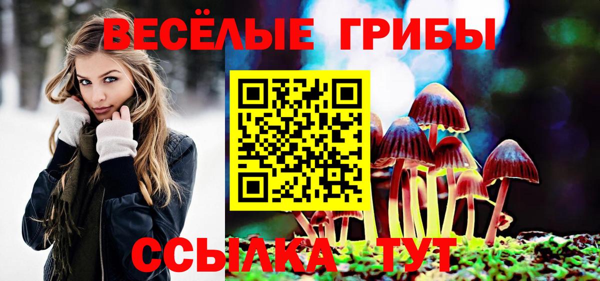 Галлюциногенные грибы Psilocybe Александров
