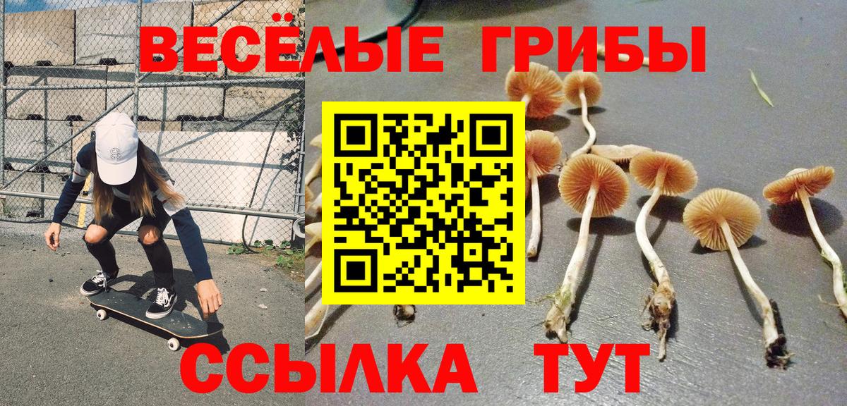 Александров  Галлюциногенные грибы Cubensis  Вход с VPN  Галлюциногенные грибы ЛСД 